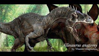 Allosaurus anatomy by. Vitamin Imagination