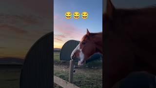 Epic Funny Video  #shorts #funny #viralshorts