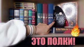 КНИЖНЫЕ ПОЛКИ, которые не стыдно показать 