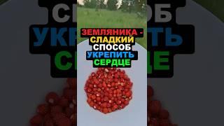 Земляника - сладкий способ укрепить сердце! #земляника #здоровье #рецепты #похудение #еда #витамины