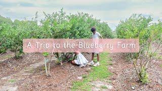 A Trip to the Blueberry Farm | Homemaking Vlog | Black Homemaker