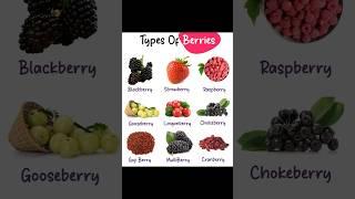 Types Of Berries #berry #berries #berriestypes #chefstalk #shorts #ytshorts #ramchef