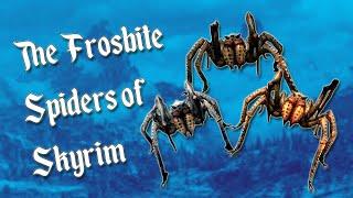 The FROSTBITE SPIDERS of Skyrim - Elder Scrolls Lore