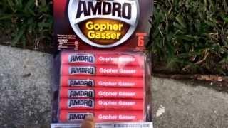 How To Get Rid Of Gophers and Moles With Amdro Gopher Gasser