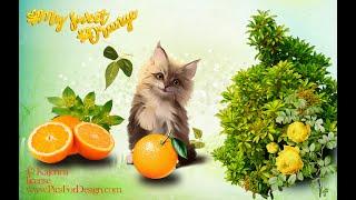 PicsForDesign PSP Tagging Tutorial №18. Corel PaintShop Pro.