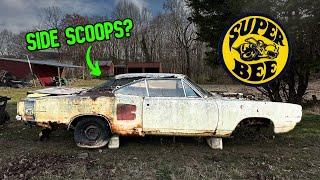 Stumbled across a few 1969 Super Bees! Hope we don't get STUNG!