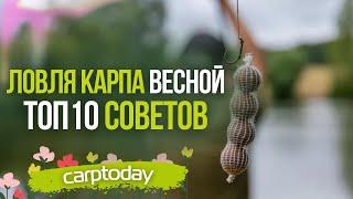 ТОП 10 СОВЕТОВ по ЛОВЛЕ КАРПА ВЕСНОЙ! Прикормка // Насадка // Выбор места // Монтаж // Тактика!