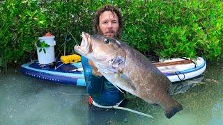 Trophy Fish in My Backyard | Paddle Board Spearfishing | CCC
