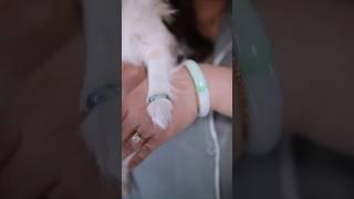 Matching bangles with Barley 
