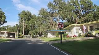 Trike Ride on Royal Palm Drive, Hawthorne at Leesburg