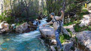 Fly Fishing the COOLEST Small Creeks for Trout!! || New Mexico - Rio Grande Cutthroat