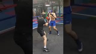 boxing amateur sparing  