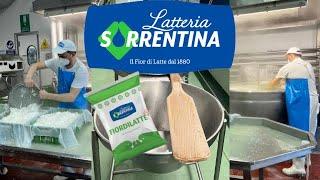 Fior di Latte Herstellung | Zu Besuch bei der Latteria Sorrentina in Neapel