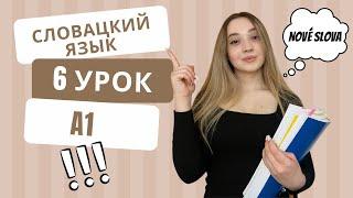 Словацкий язык. Урок 6. Новые слова и фразы.