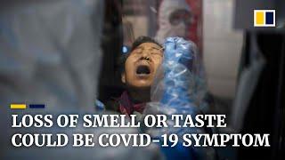 Coronavirus: loss of sense of smell or taste could be a symptom of Covid-19