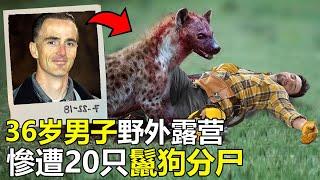 36岁男子“不顾警告”野外露营，惨遭20只鬣狗分尸，场面极度血腥，救援人员都被吓坏了#top #世界之最 #动物 #動物 #災難 #灾难 #腦洞大開 #美國 #老虎