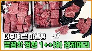 깔끔한 정형 익힐수록 부드럽다! 1++(9) 양지머리