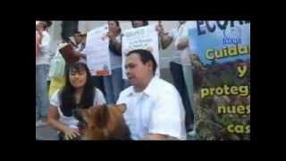 Por los derechos de los animales