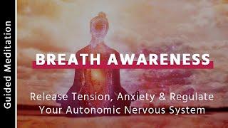 Breath Awareness Meditation For Beginners | 5 Minute Guided Meditation