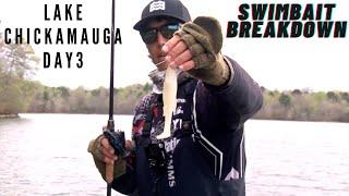 Swimbait break down! Lake Chickamauga Day 3