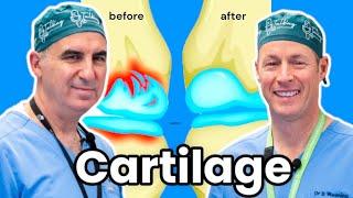 How To Grow Your Cartilage. Can We Actually Do It?