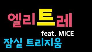 잠실 재건축 [엘리트레] 임장: 트리지움 feat. MICE [부동산 수색대]