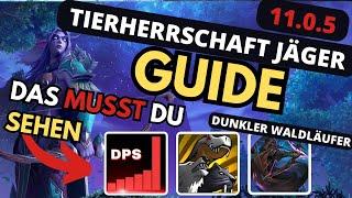 11.0.5 WOW Dieser DMG! Dunkler Waldläufer TWW Tierherrschaft Jäger M+ /Tiefen  und Raid Guide #wow