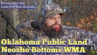 Oklahoma Neosho Bottoms WMA Public Land | KOAM Outdoors Deer Hunts