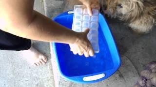 ice bucket challenge