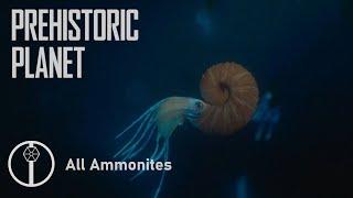 All Ammonites in Prehistoric Planet