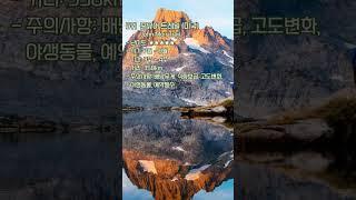 세계에서 가장 인기 있는 트레킹 코스 TOP 10  #세계여행 #triptop10 #여행랭킹