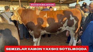 SHAXIDON MOL BOZORI SEMIZLAR XAMON YAXSHI SOTILMOQDA