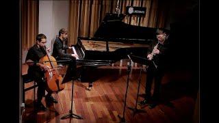 "Moving" Trio composed by Yuval Medina