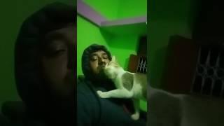 sacha pyaar#short#my cat#love#prem#trending #vira #@tmshort