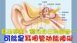 耳朵悶塞、聽見自己的回音… 可能是耳咽管功能障礙｜好心肝˙好健康