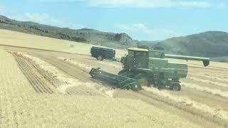 “Golden Harvest: Classic John Deere Combines in Montana’s Fields”