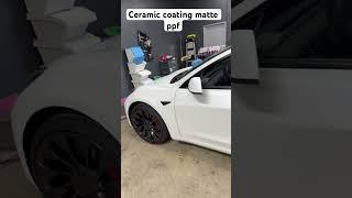 What does matte ppf look like on a white car tesla model 3 #cars #tesla #shorts #shortvideo