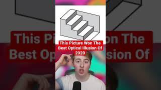 This Picture Won The Best Optical Illusion Of 2020 #Shorts