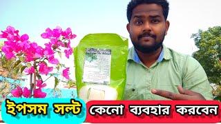 ছাদবাগানে এপসাম সল্টের ব্যবহার | ম্যাগনেশিয়াম সালফেট | Use of epsom salt