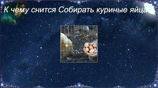 К чему снится Собирать куриные яйца (Сонник)