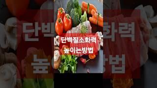 소화력 약한사람 단백질 섭취하는 방법#단백질 #단백질식단