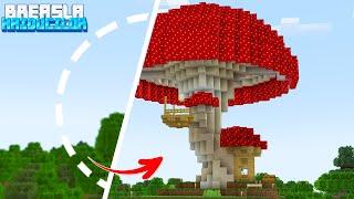 CONSTRUIESC un MUSHROOM HOUSE pe Breasla Haiducilor 5