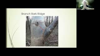 Structural Pruning Training with Jim McGlone May 2023