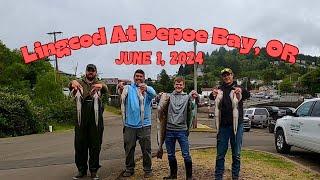 Lingcod Fishing In Depoe Bay On My Boat For The First Time! How Did We Do? #lingcod #fishing #ocean