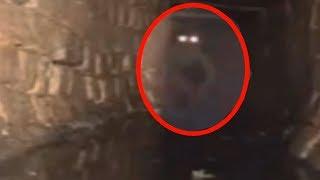 5 Mysterious Creatures Caught On Camera & Spotted In Real Life!