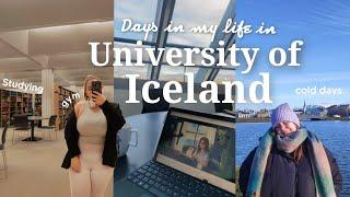 Days in the University of Iceland: Studying, going to the gym and the winter is here