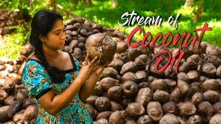 Making home-made coconut oil is not so easy as it taste! | Traditional Me