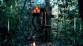 Bushcraft Alone, The Sacredness of Rain, Light, Thunder at Night in the Jungle, Shelter in a Tree