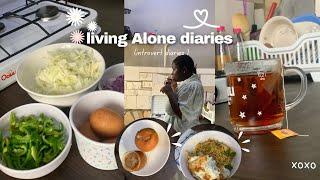 Daily vlog | Life of an introvert Ghanaian girl |living alone