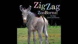 Zig Zag ZooBorns: Zoo Baby Colors and Patterns